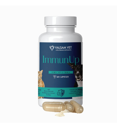 IMMUNUP - podpora imunity pre psy a mačky 60 kapsúl - Valsam Vet