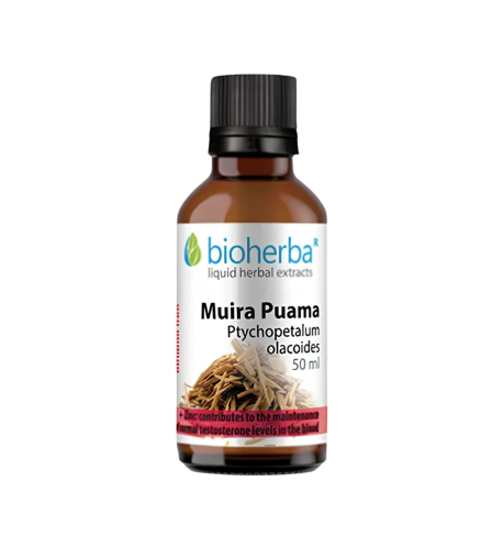 Muira Puama (Ptychopetalum olacoides) kvapky – tinktúra – 50 ml – Bioherba