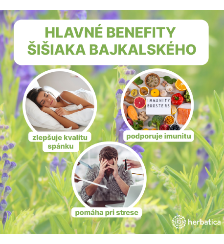 Šišiak bajkalský - tinktúra 100 ml
