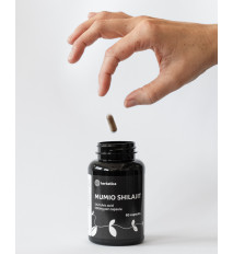 Zvýhodnený set: 2 x Shilajit - očistené mumio premium (500mg) - 80 kapsúl
