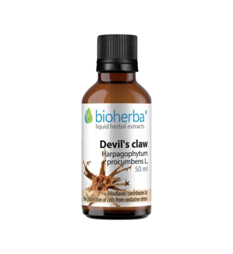 Diablov pazúr kvapky – tinktúra – 50 ml – Bioherba